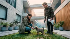 Cómo enseñar control de esfínteres a tu cachorro sin retarlo y con refuerzo positivo