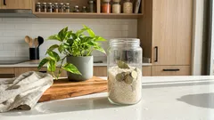 Frasco con arroz en la cocina: cómo ubicarlo según Feng Shui para atraer prosperidad