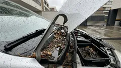 El rincón del auto que se tapa con hojas y provoca filtraciones cuando llueve