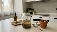 Cómo pasar un esqueje del agua a la maceta sin que se decaiga