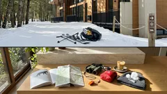 Leopardo de las nieves cerca de un hotel: ¿qué pasó en Koktokay y por qué es tan raro?