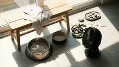 Ola de calor: qué no hacer “por cariño” con tu perro y cómo reconocer un golpe de calor