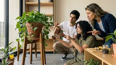 ¿Sirve enterrar cáscaras de banana en el potus? Cómo hacerlo bien y evitar olores y mosquitas