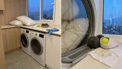 Almohadas mullidas otra vez: el truco simple de las pelotas de tenis al lavarlas