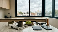 Horóscopo de febrero de 2026 para Tauro: la razón de un mes más calmo (y con avances concretos)